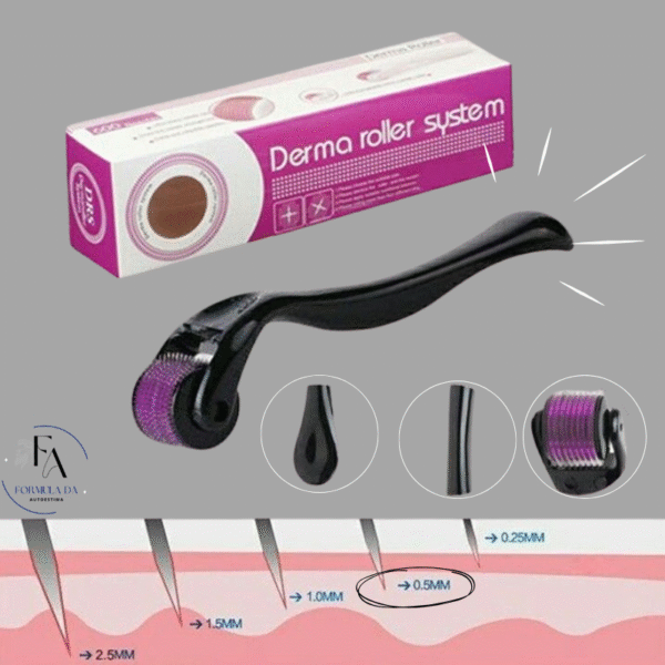 kit derma roller system